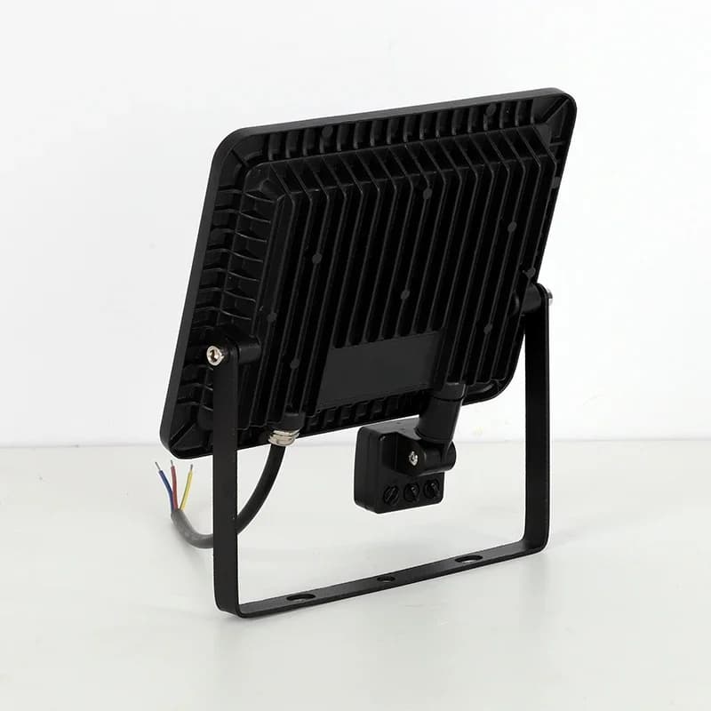 Projecteur Led à Induction 10W 20W 30W 50W 100W avec capteur PIR réglable 110V 220V, éclairage extér