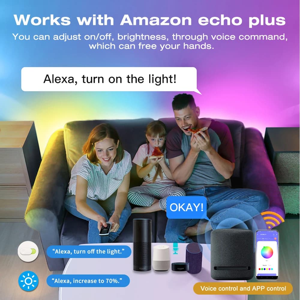 WS2811 RGBIC LED Pixel bandes lumineuses 24V 5M 10M 15M 20M Wifi intelligent Alexa commande vocale a