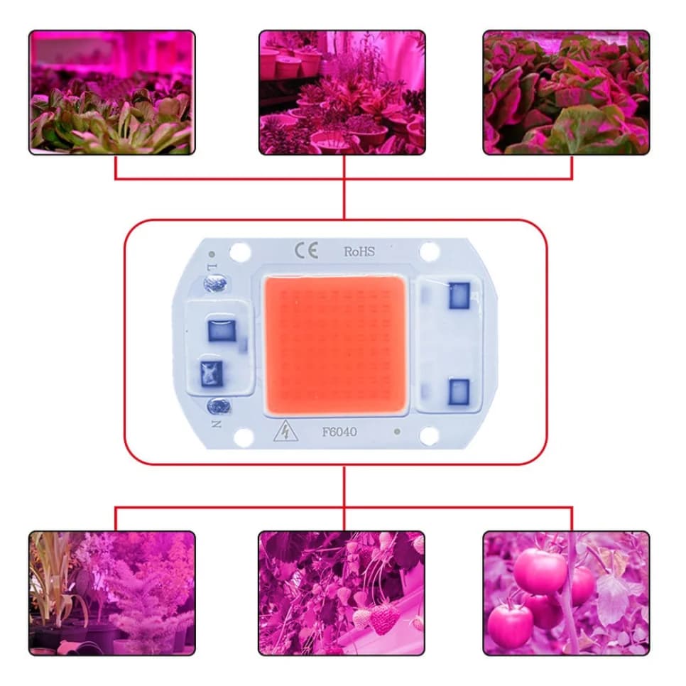 Puce de lampe LED COB, pas besoin de pilote, perles de lampe LED pour budgétaire, spectre complet, b