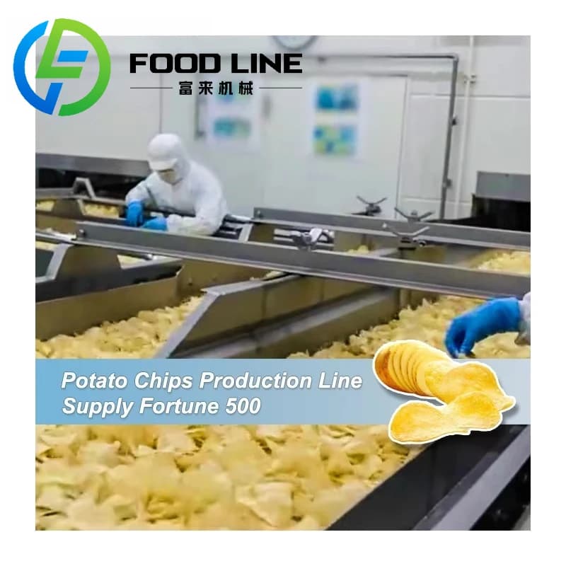 Machine de fabrication de chips de pommes de terre fraîches de haute qualité, usine de fabrication d