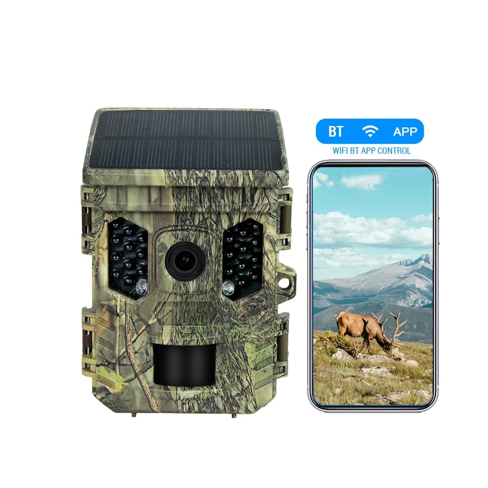 Caméra de surveillance pour la faune, énergie solaire, 4K, avec Vision nocturne 1080P, étanche, appl