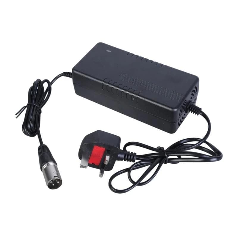 24V 5A charge pour fauteuil roulant électrique et Hoverboard vélo électrique charge professionnelle 