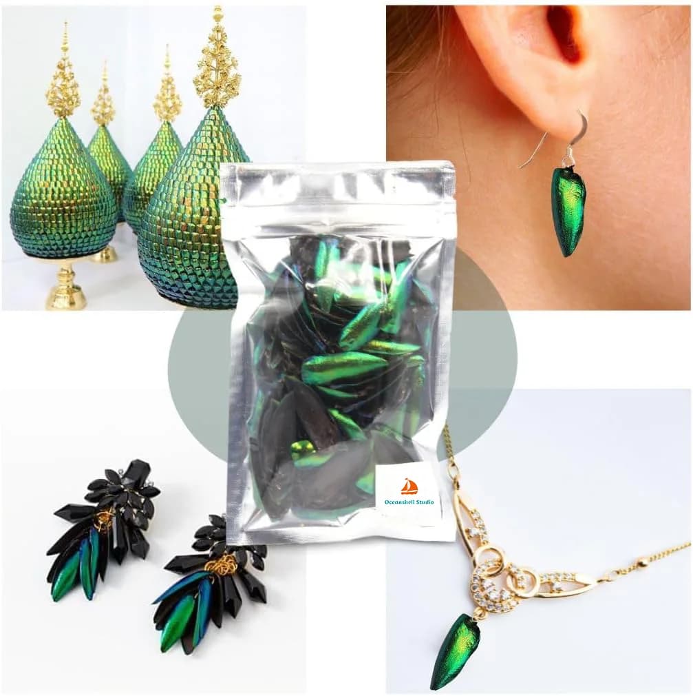 50 pièces bijou coccinelle Elytra vert émeraude vraies ailes d'élytron insectes naturels Coleoptera 