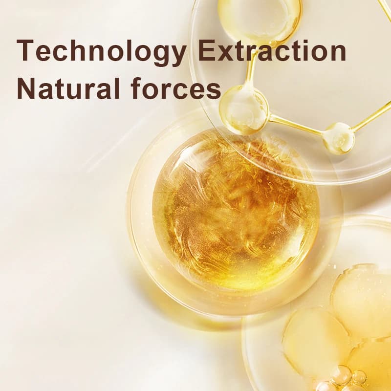 Zhang Guang 101 liquide nourrissant au Ginseng 120mlX2 formule à base de plantes chinoises Anti-pert