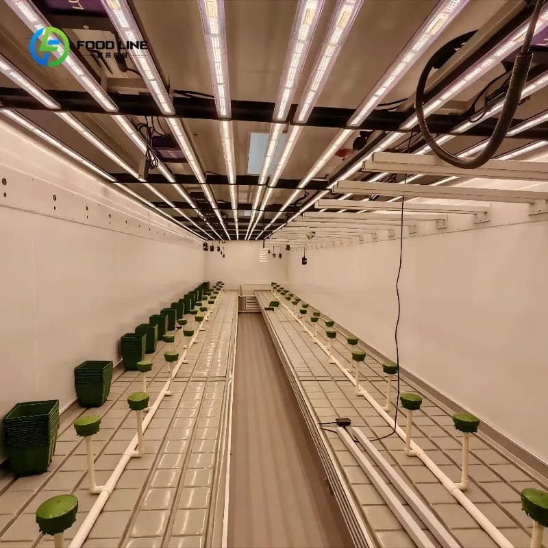 Serre conteneurisée entièrement automatisée pour la culture de micro-légumes en Thaïlande, fabriquée