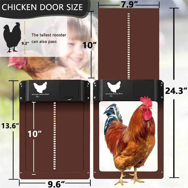 Porte automatique pour poulailler avec capteur de lumière, ouvre-porte pour poulets de ferme, porte 