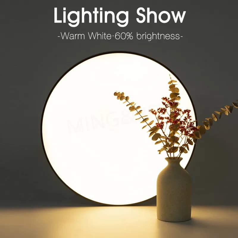 MING & BEN Smart LED plafonniers 18,5 pouces rond moderne LED plafonnier avec APP télécommande régla