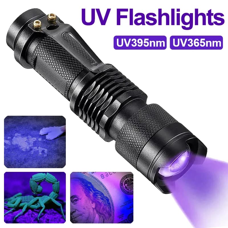 Lampe de poche LED UV portable, 365 nm, 395nm, mini torche ultraviolette, étanche, zoomable, verre, 