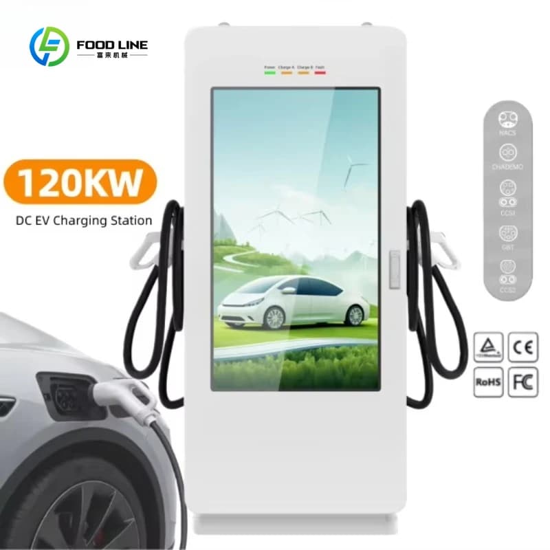 Bornes de Recharge Électriques Personnalisées 60kW 80kW 120kW 160kW avec Écran Publicitaire Intellig