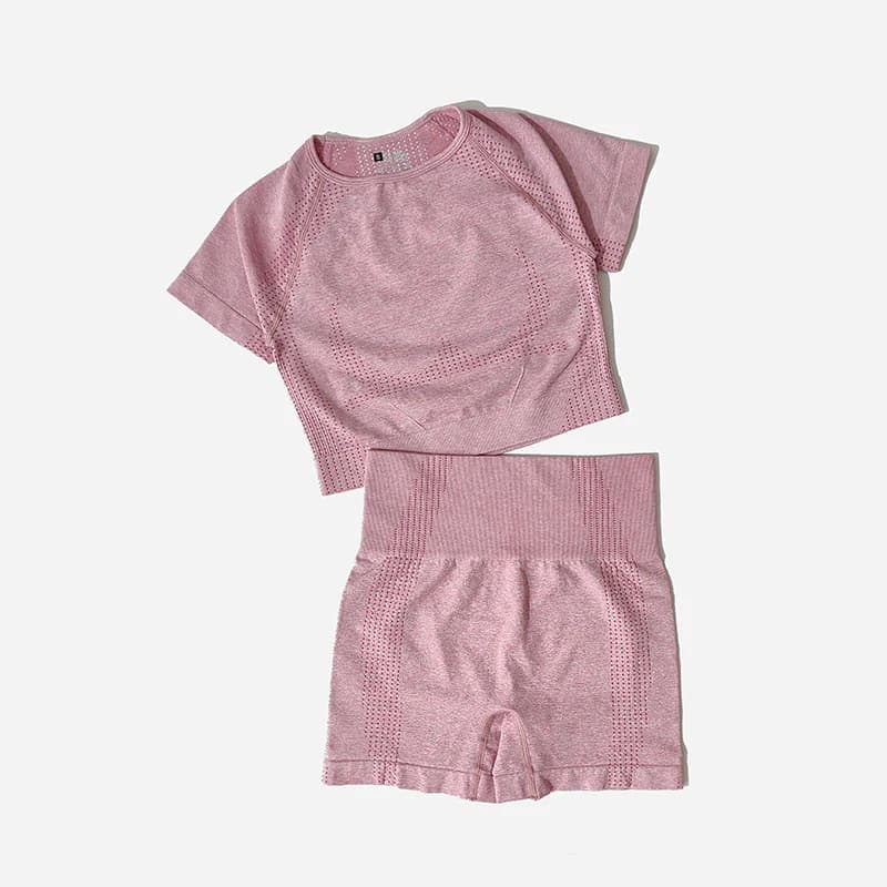 Ensemble de Yoga sans couture pour femmes, haut court, chemise à manches courtes, Short de Fitness, 