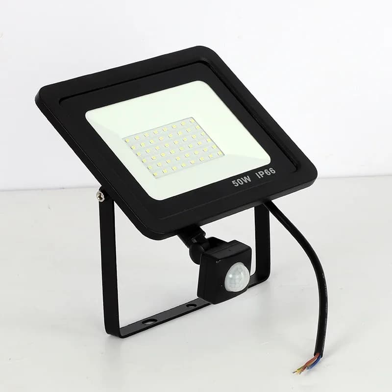Projecteur Led à Induction 10W 20W 30W 50W 100W avec capteur PIR réglable 110V 220V, éclairage extér