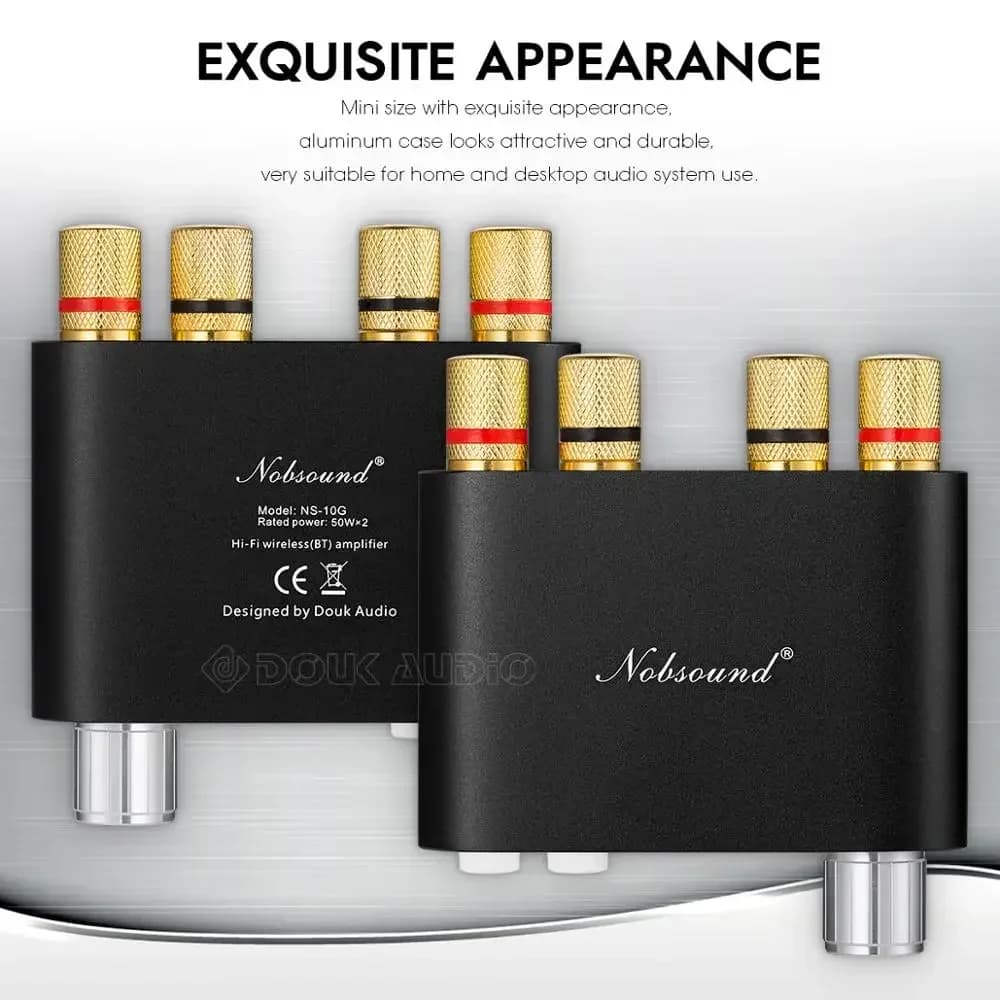 Douk Audio NS-10G Mini Bluetooth 5.0 TPA3116 Amplificateur de Puissance Numérique HiFi Stéréo Audio 