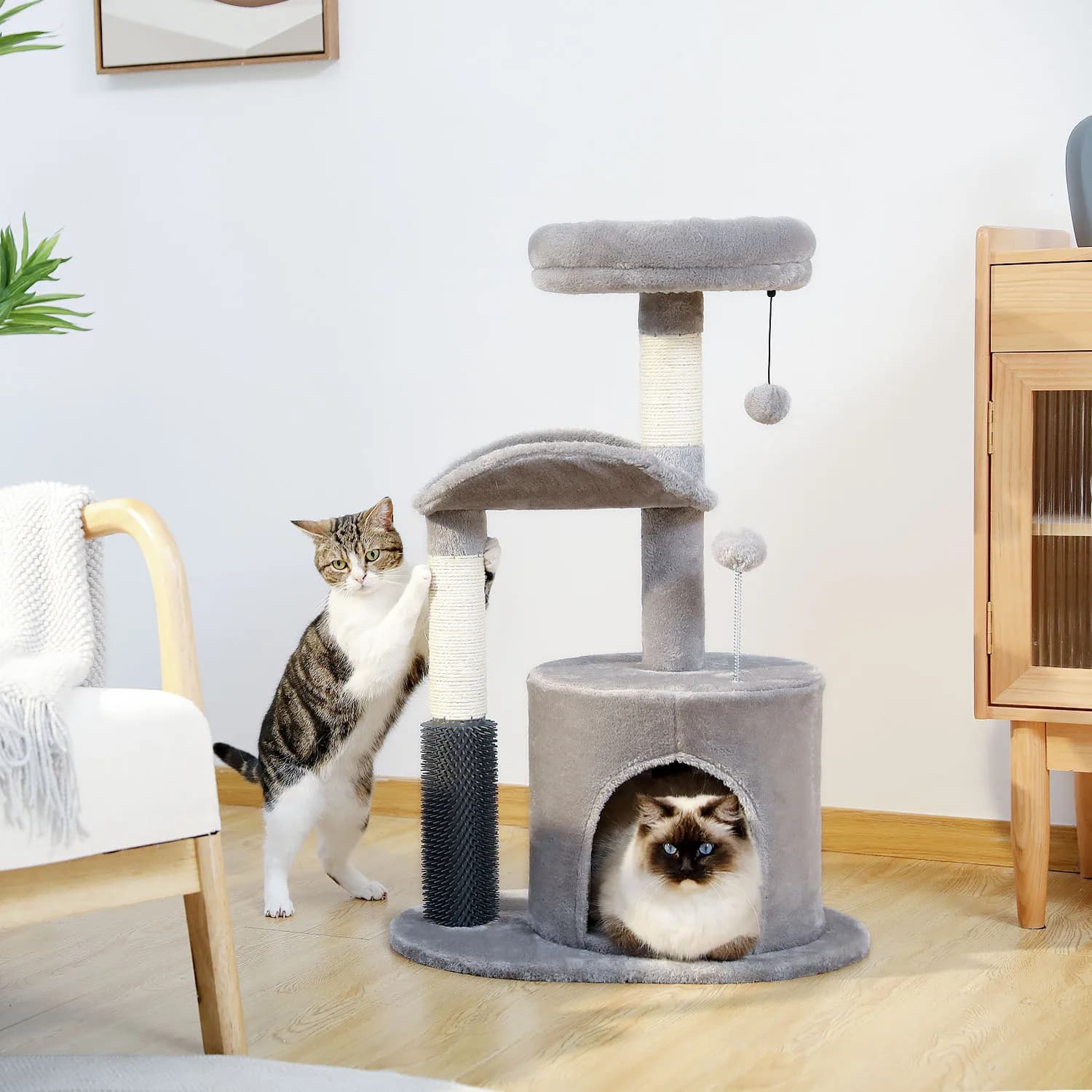 Tour de petit arbre à chat d'intérieur pour chats, jouet coule pour chat de taille moyenne, condo po
