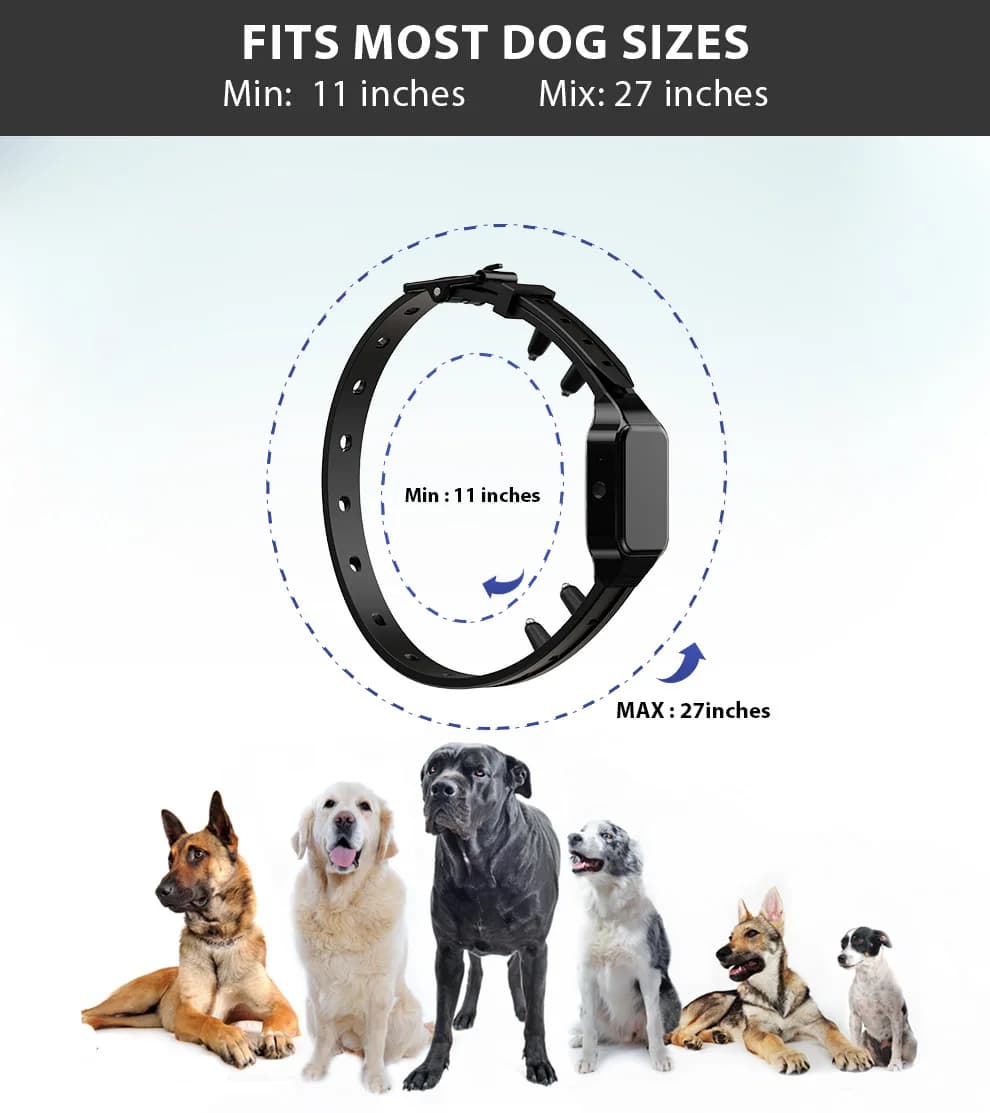 Collier d'Entraînement Surround pour Chien, Anti-Aboiement, Étanche, Rechargeable, Télécommande Élec