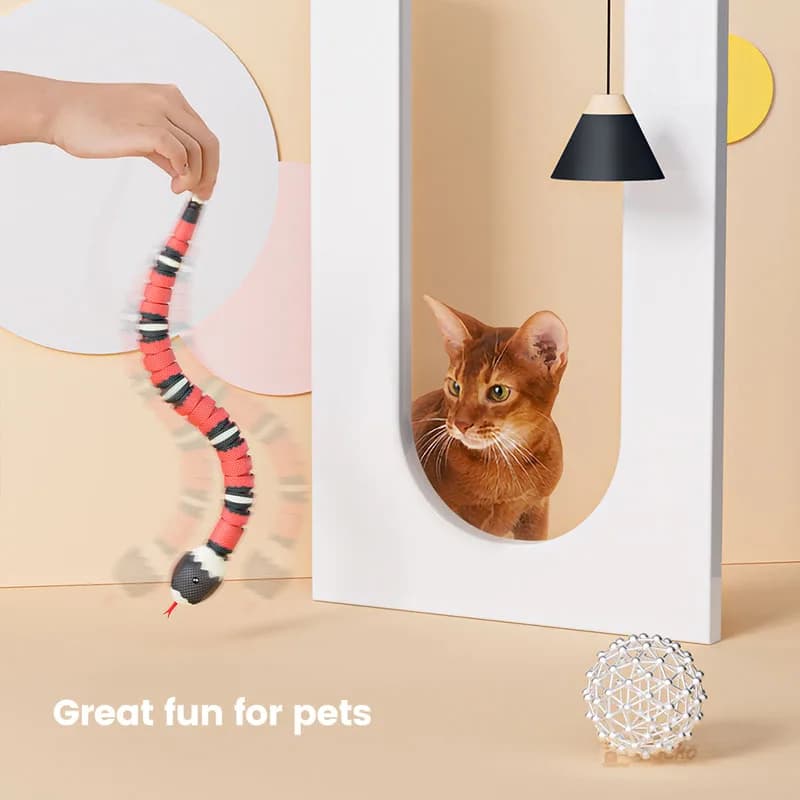 Jouets interactifs électriques pour chats, salle de détection intelligente, chargement USB, accessoi