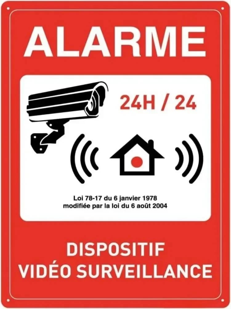 CamVintagePro ™   Vintage - Panneau de caméra de sécurité inspiré |   Décoration polyvalente pour la