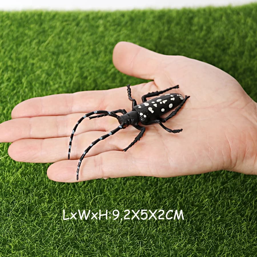 Figurines d'animaux d'insectes de Simulation, cigale, papillon, coccinelle, araignée, tarantule, Amo