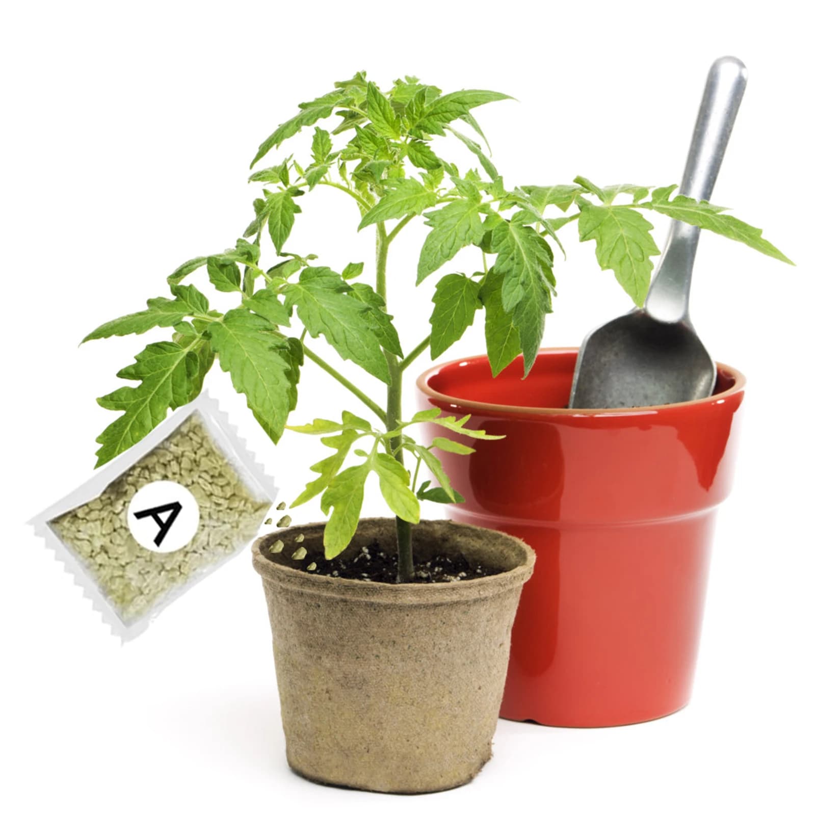 Engrais de jardin A + B pour plantes hydroponiques concentrées, facile à utiliser, favorise l'effica