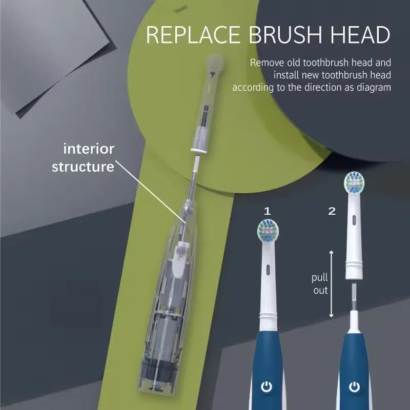 Brosse à dents électrique, têtes vibrantes arrondis, brosse à dents à poils souples, Rotation, soins