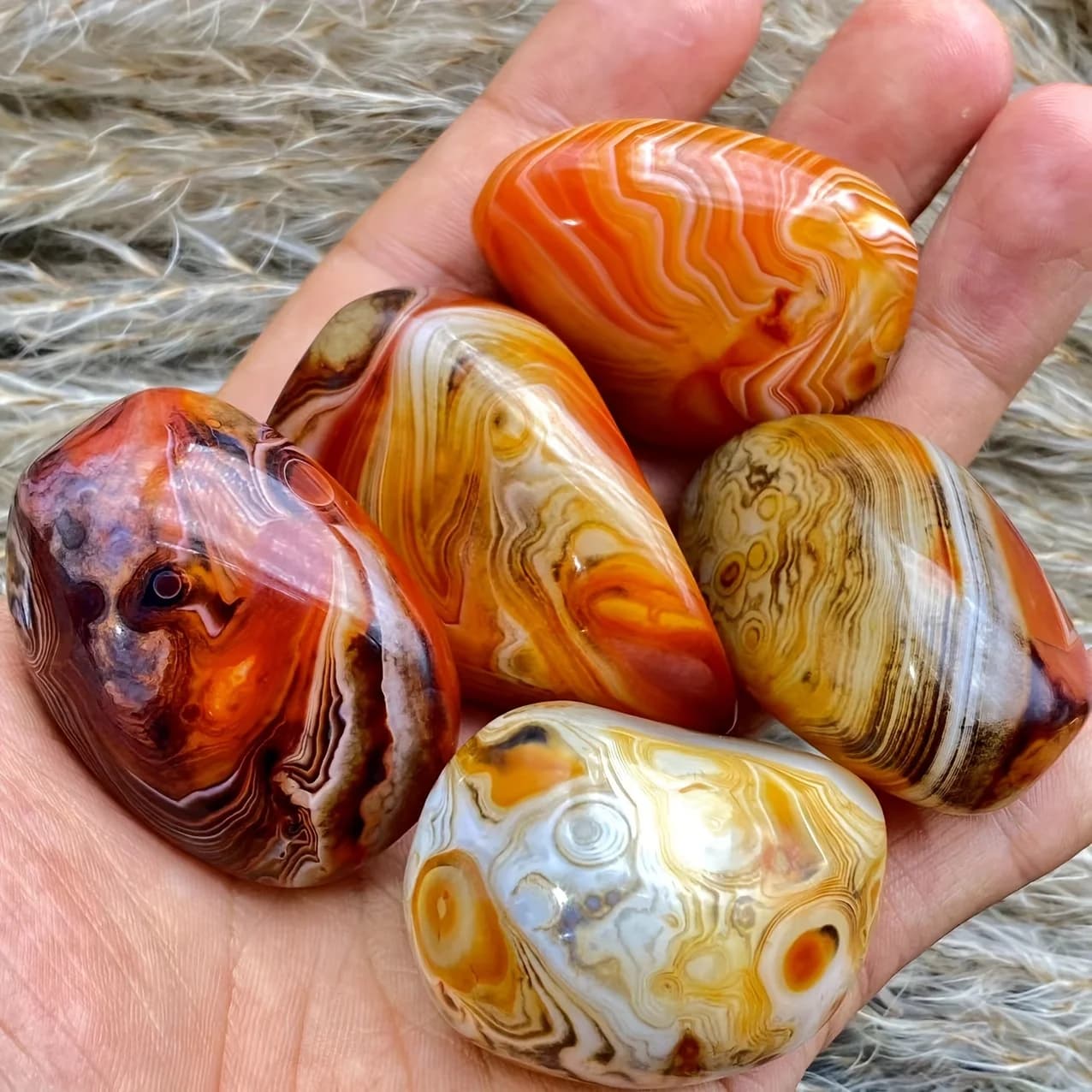 Palmier naturel aléatoire de Sardonyx, pierre de palmier d'agate polie naturelle, cristal de guériso