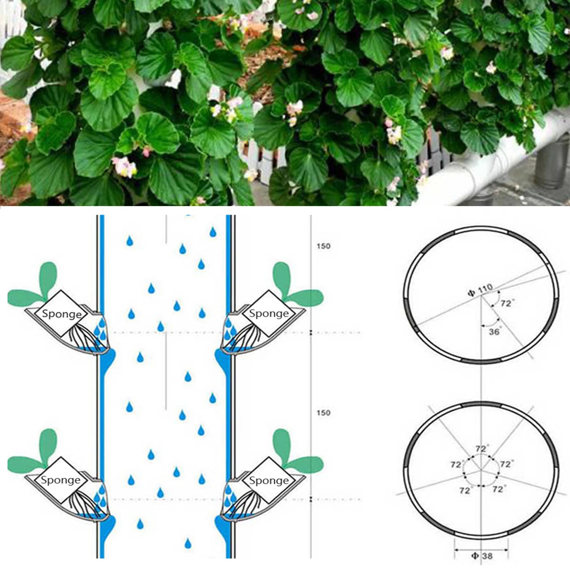 Lita – système de plantation hydroponique pour fruits et légumes, dispositif hydroponique sans sol p