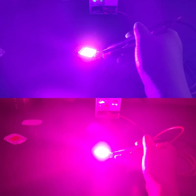 Puce LED COB 220V, Module 50W 30W 20W Natura, blanc froid et chaud, UV rose vert or bleu rouge pour 