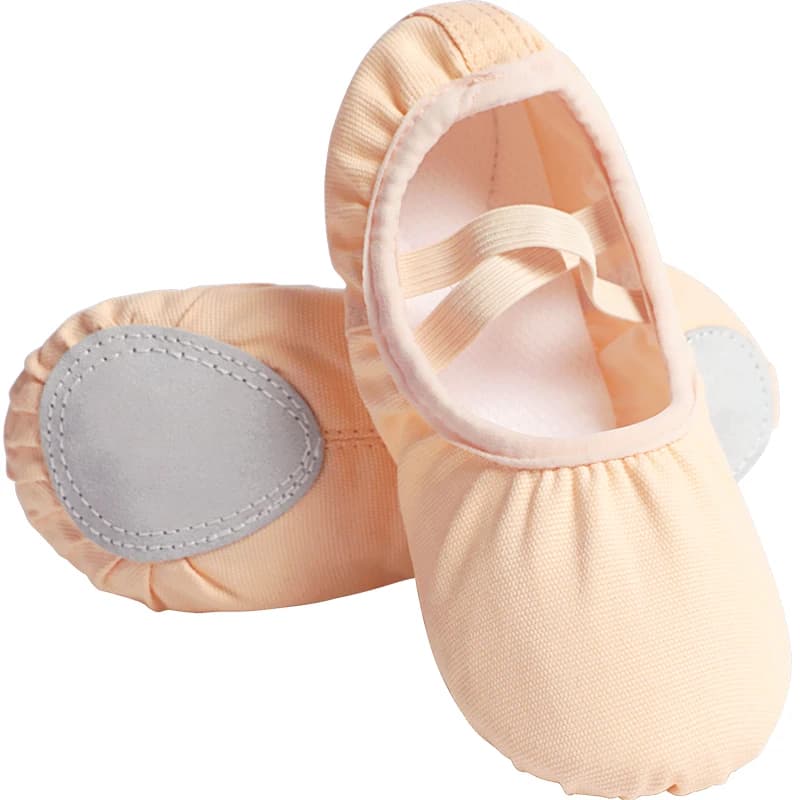 Chaussures de Ballet pour filles, chaussures de danse en toile pour femmes, chaussures de Ballet à s