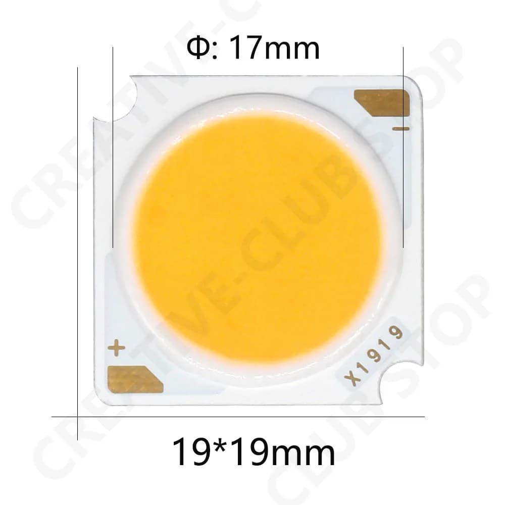 10 pièces 1919 10W 20W 30W 40W LED COB puce Diode électroluminescente importée Bridgelux puce de cri