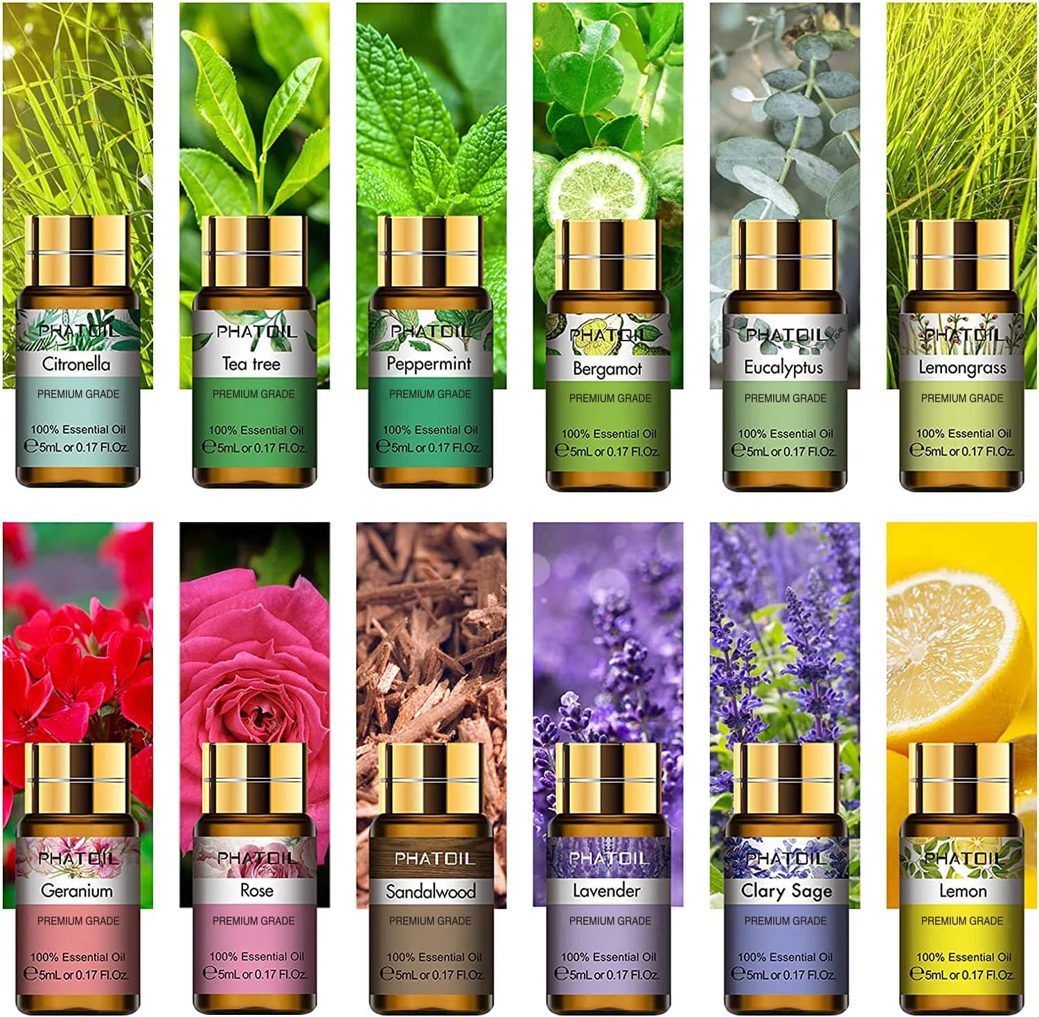 PHATOIL 12 pièces boîte-cadeau huiles essentielles pures pour humidificateurs diffuseur Massage Spa 