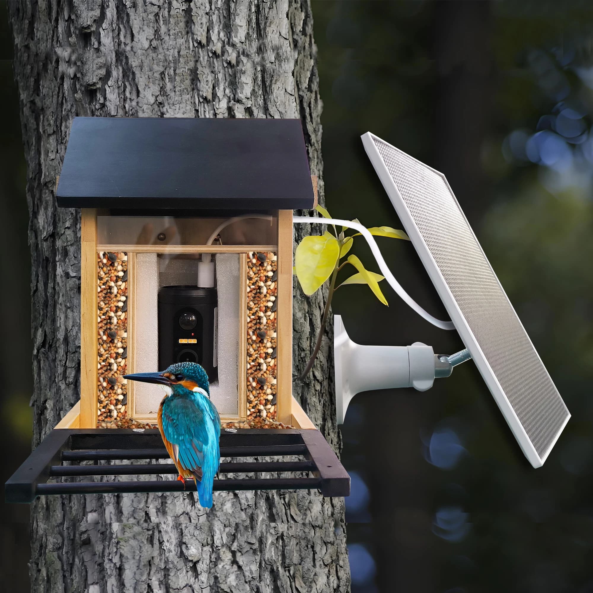 Mangeoire pour oiseaux 1080P avec caméra HD, batterie intégrée, solaire, faible puissance, Vision no
