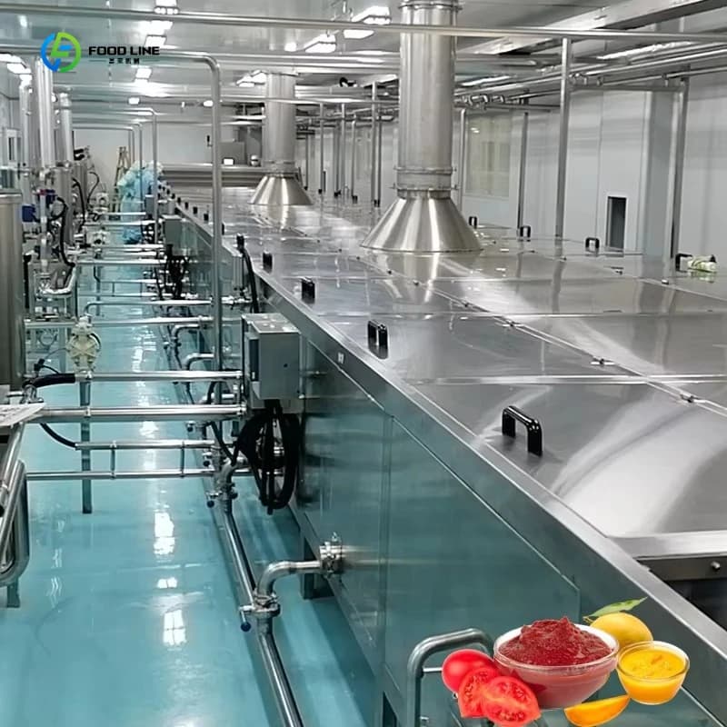 Machine de fabrication de confiture de myrtilles, de jus de fruits et de sauce tomate personnalisée,