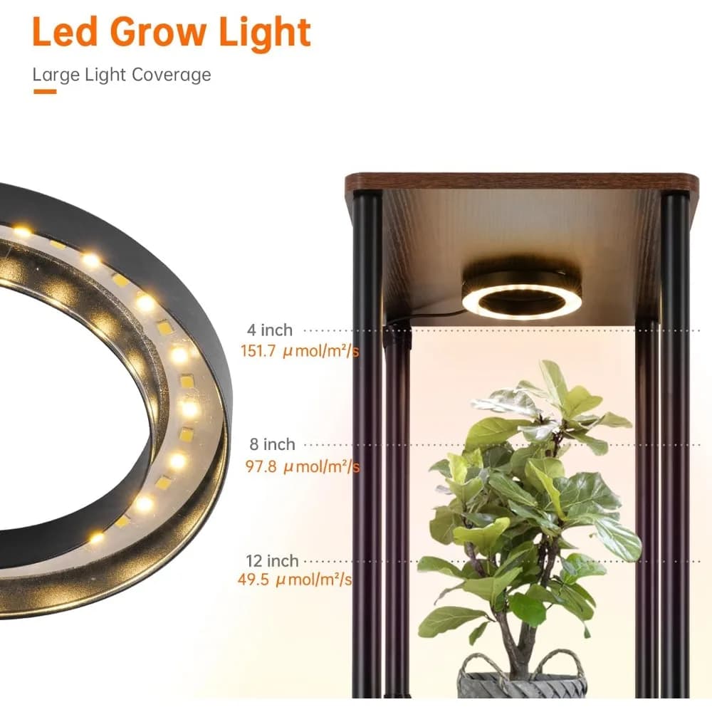 Support pour plantes d'intérieur à 6 niveaux avec lumière de croissance à spectre complet, étagère m