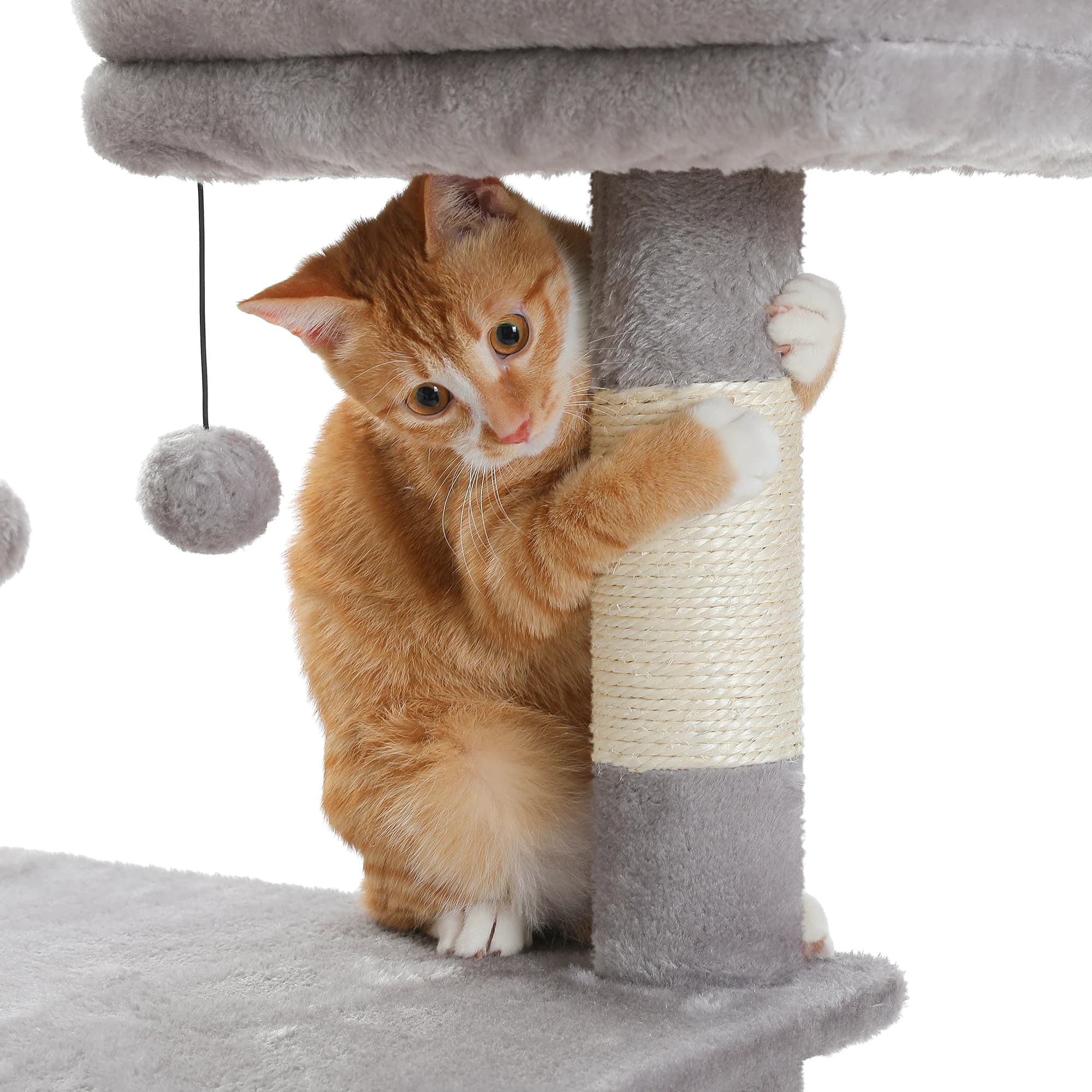 Grand condo pour chats d'intérieur, arbre à chat avec hamac, griffoirs, 2 perchoirs