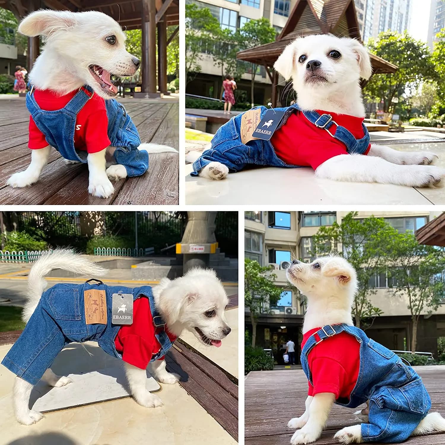 Salopette en jean pour animaux de compagnie pour bouledogue français, combinaison en jean pour chien