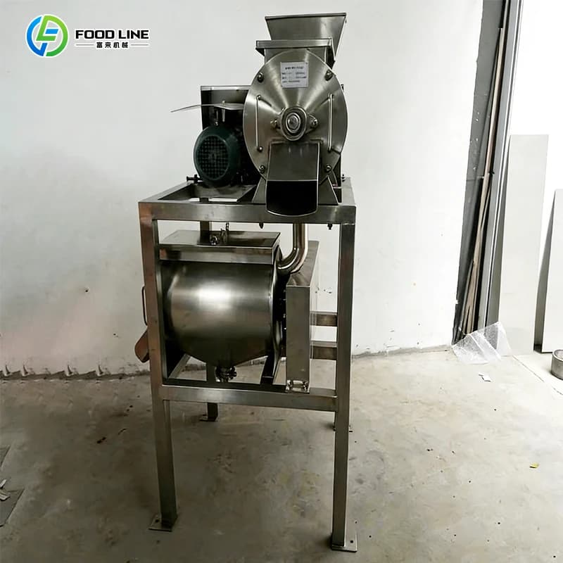 Machine de fabrication de pulpe de mangue et de custard apple de haute qualité – Prix compétitif