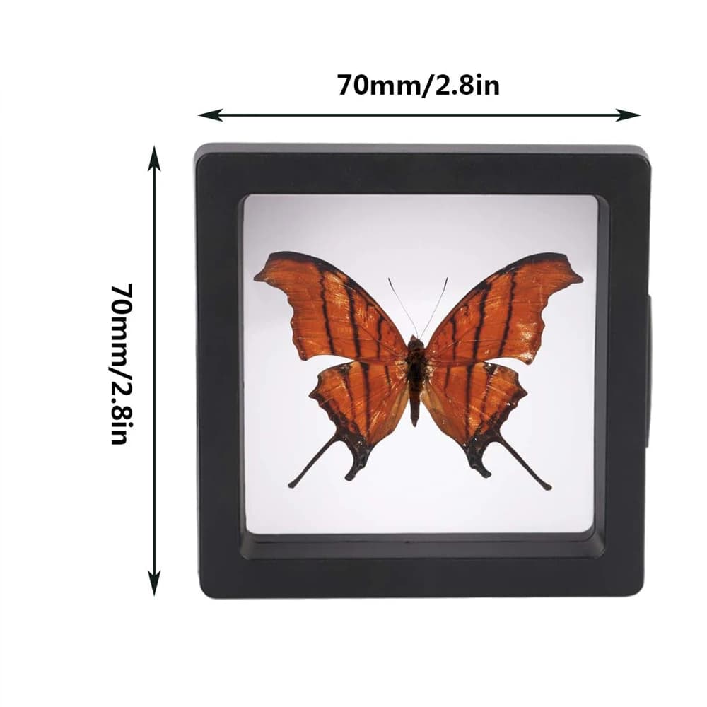 20 supports d'affichage flottants 3D noirs pour pièces de monnaie et bijoux, idéaux pour les pièces 