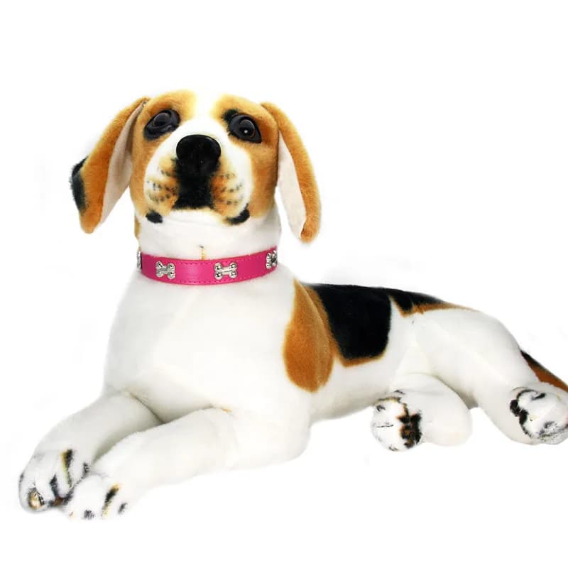 Colliers durables en cuir d'os pour chien, chiot, carlin, pour petit et grand chien, Chihuahua, acce