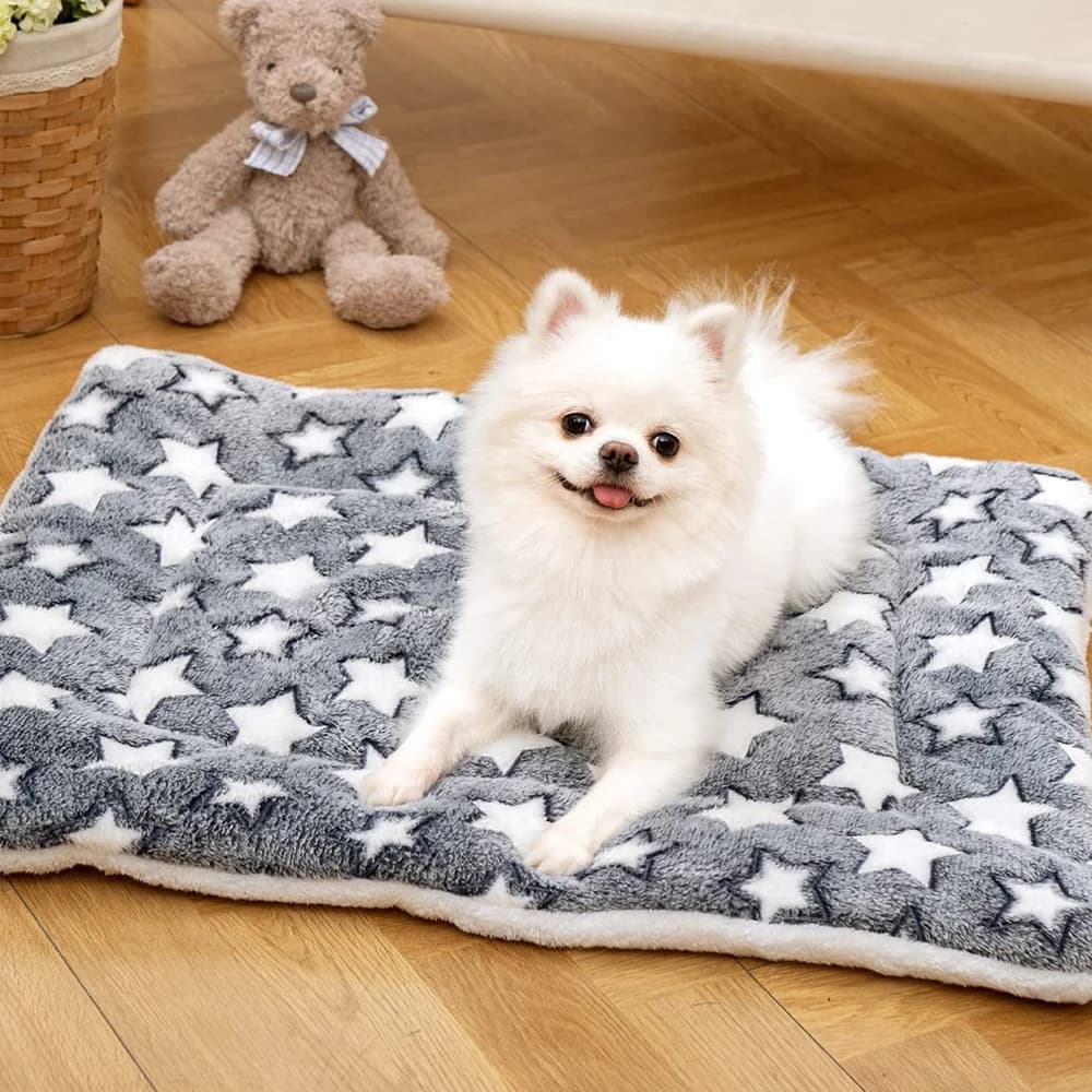 Tapis de couchage d'hiver en flanelle pour animaux de compagnie, multi-modèles, pour chenil, couvert