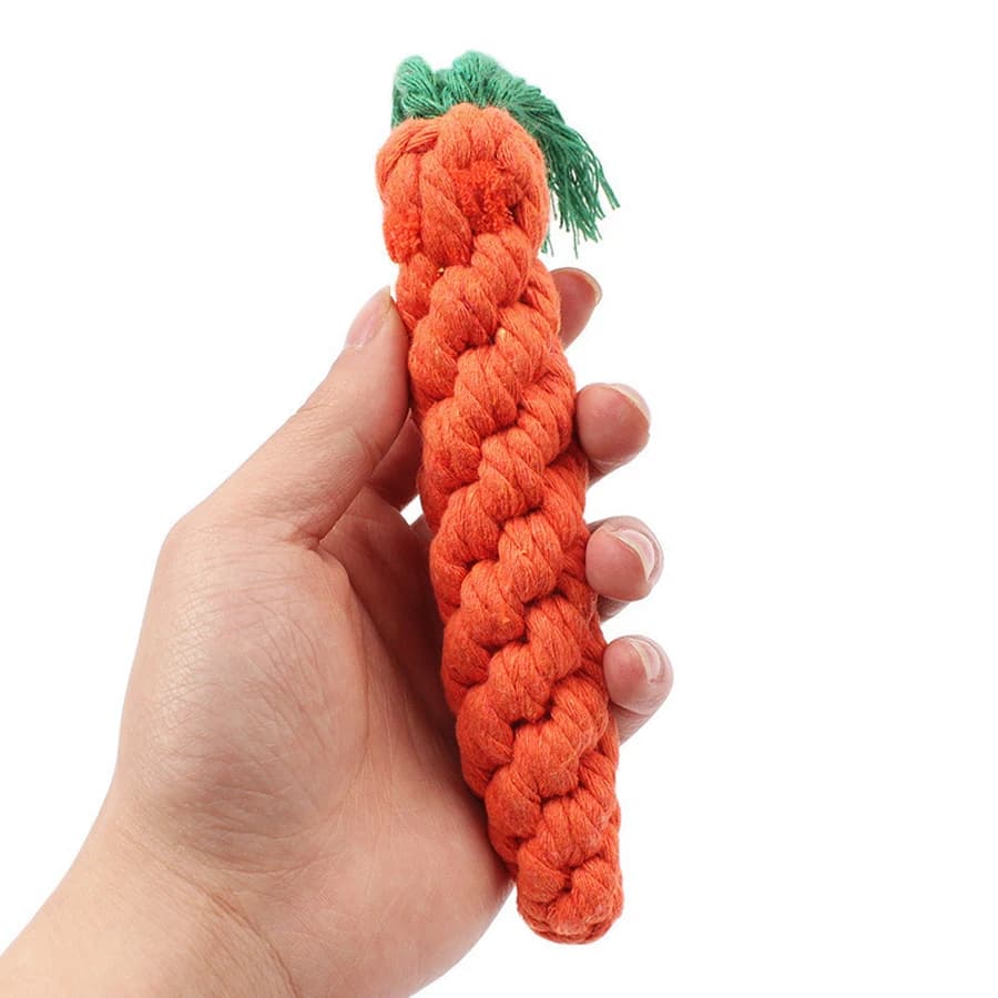 Jouets à mâcher pour petits chiens, jouets pour chiens de compagnie, livres, dents, chiot, carotte, 