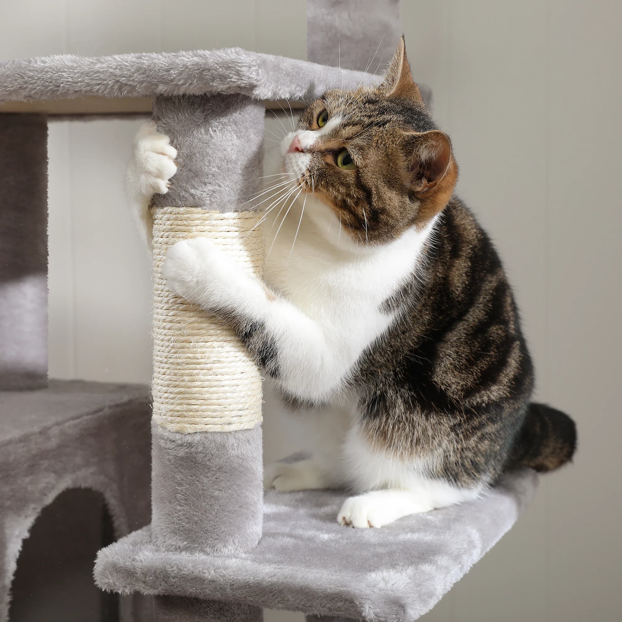 Grand condo pour chats d'intérieur, arbre à chat avec hamac, griffoirs, 2 perchoirs