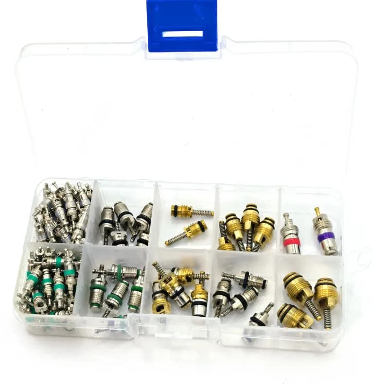 100 pcs/boîte R134A Voiture A/C Noyau Vannes Climatisation Automobile Assortiment Kit 1