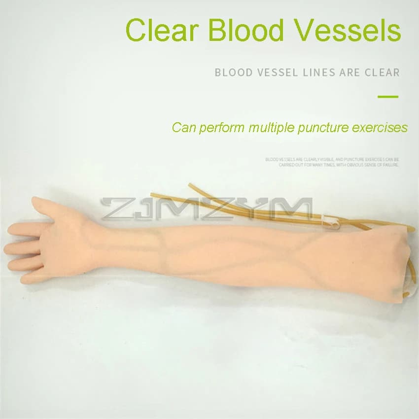 Modèle de pratique de la ponction veniponcture Phlebotredémarrage anatomique du bras avancé, kit de 