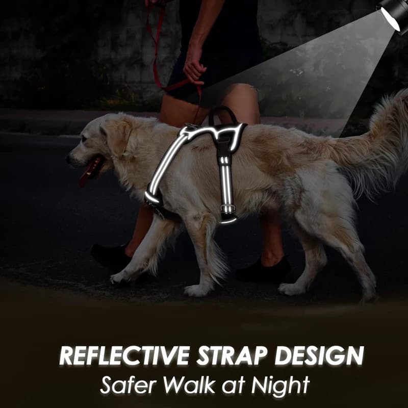 Benepaw – harnais pour chien sans traction, poignée de contrôle facile, harnais réfléchissant pour a