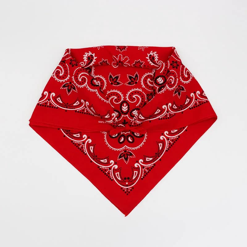 68CM rétro bleu rouge Paisley grand carré Bandana coton Hip Hop bandeau écharpe