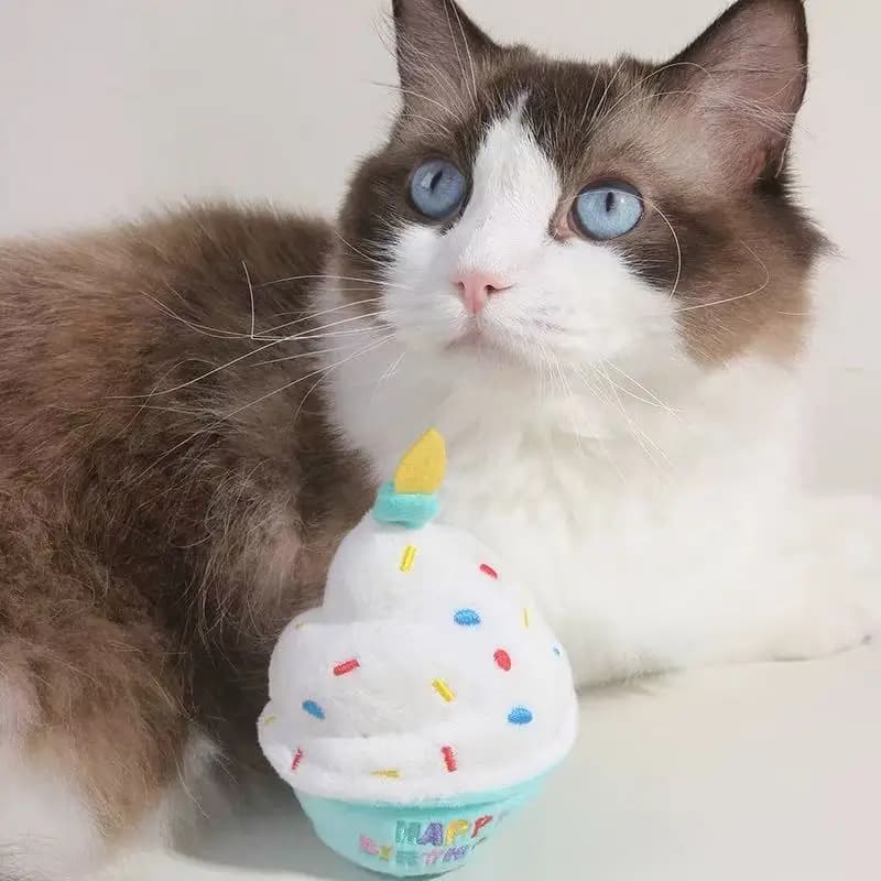 1 pièce Jouet d'anniversaire pour chien en peluche douce et couineuse avec bougies colorées, durable