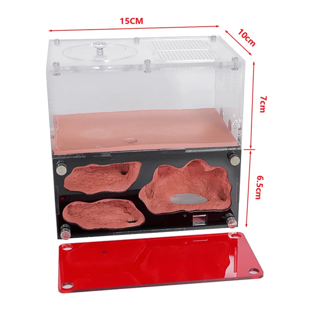 Nid de Fourmis en Acrylique Contrôle de Température de la Ferme, Maison de Colonie d'Insectes, Kit d