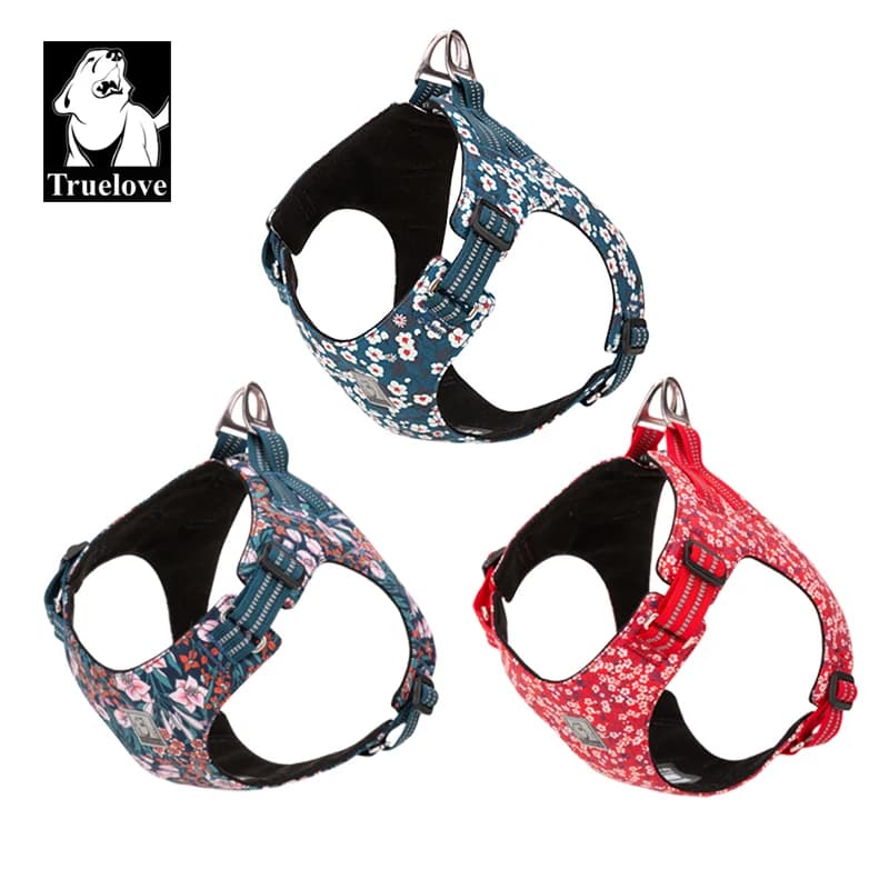 Truelove harnais pour animaux de compagnie Floral Floral harnais pour chien chien gilet Type chien c