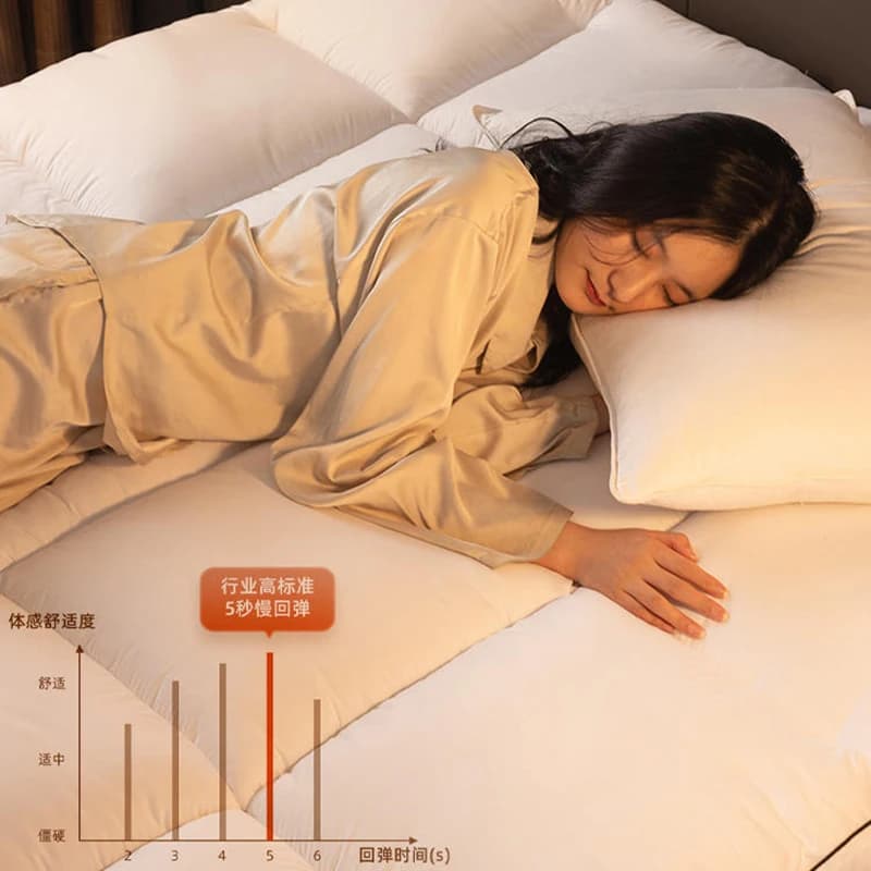 Matelas spécial d'hôtel, coussin de ménage épais, lit simple, double, pour salle de location, matela