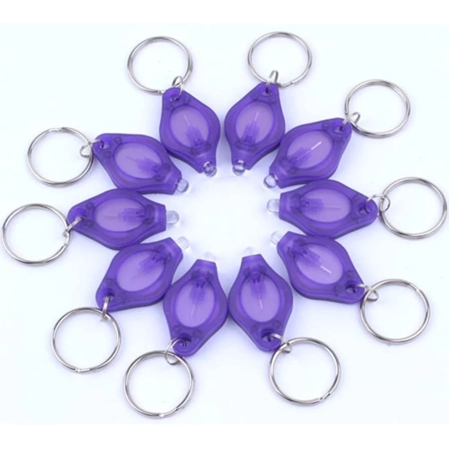 Porte-clés LED UV 365/395nm, Mini lumière Portable, minerai d'argent, taches d'animaux domestiques, 