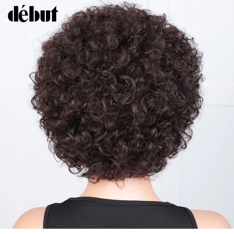Perruque courte Pixie Afro crépue bouclée perruque Bob brune naturelle avec frange perruques de chev